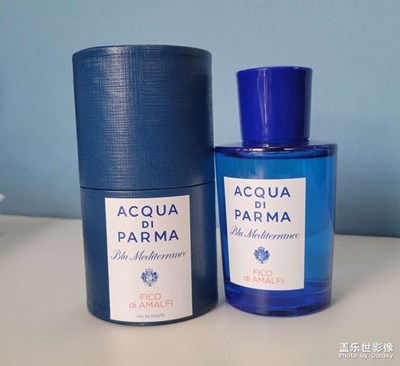 新来的