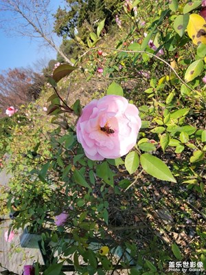 现在到底是什么季节