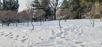 雪后