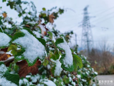 2021年第一场雪