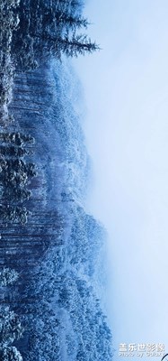 窗含西岭千秋雪