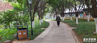 新年第一天街头随拍