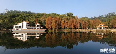 深圳仙湖植物园