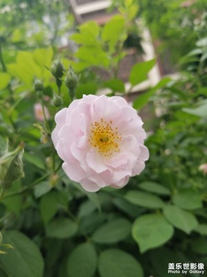 天津
