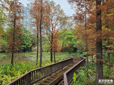 珠江公园——城市中的静谧
