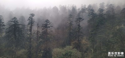 云里雾里随处都是风景