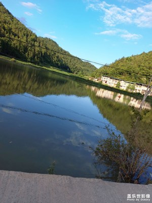 钓鱼
