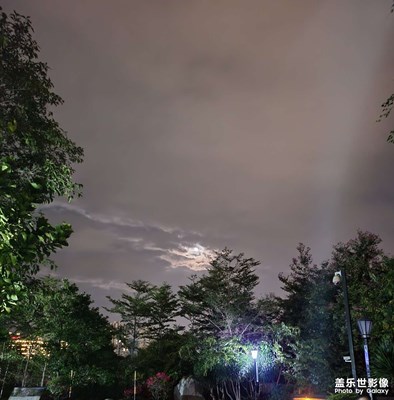 随手怕