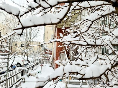 下雪了