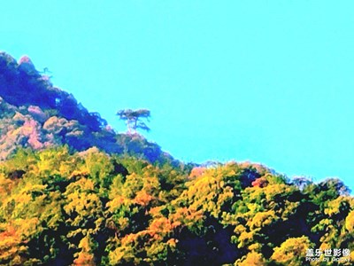 无限风光在险峰