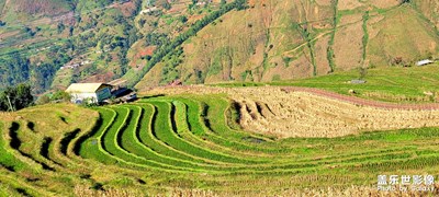 米易县新山梯田
