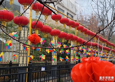【中国年】+大红灯笼高高挂