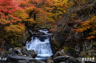 梦幻般风景，欢迎点评