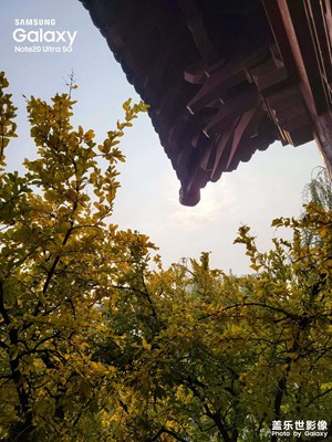 年味渐浓