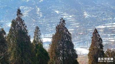 【足记】＋残雪中岳嵩山