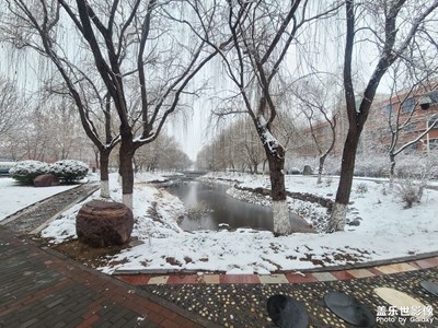 学校的第一次雪景