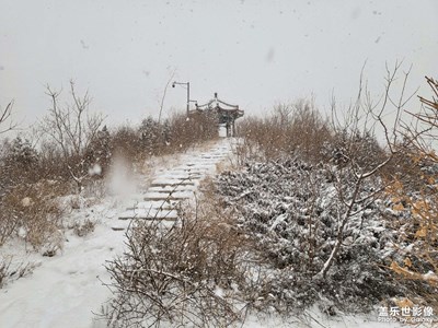 北京虎年初雪
