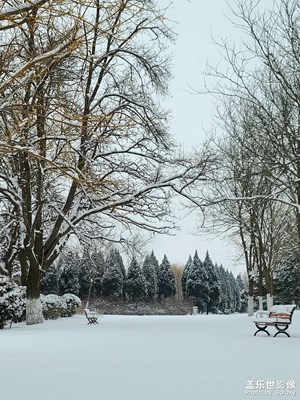 虎年第一场雪