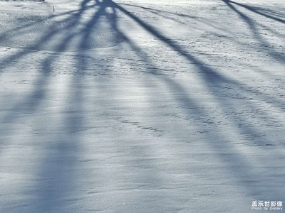 春雪