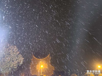 又见雪飘过