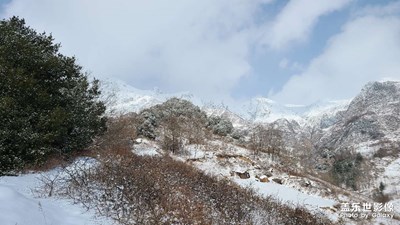 雪景随拍