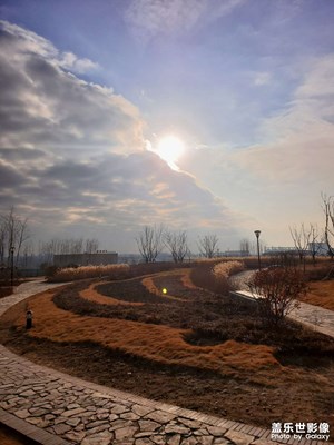 晨练小景