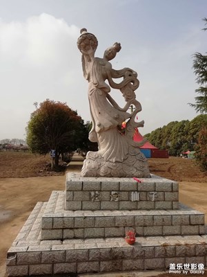 牡丹