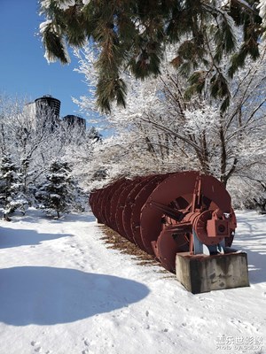 一场雪把我困在这里