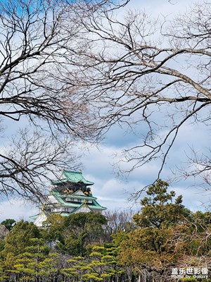 捕捉美景