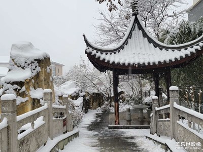 【场景小拍】+小区雪景随拍