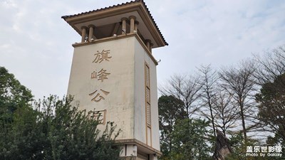 S22 Ultra随拍体验