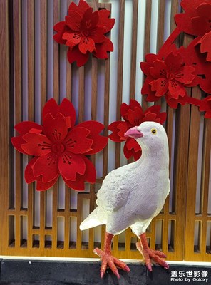 【场景小拍】+总布胡同