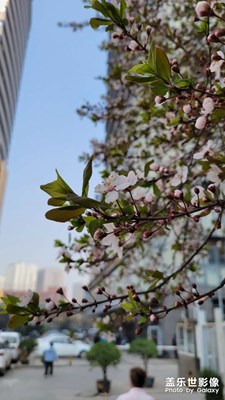 夏天到啦！