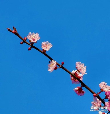 等完春天等夏天