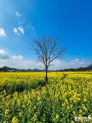 踏春