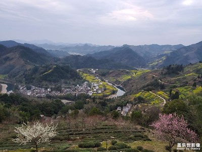 石潭油菜花开了