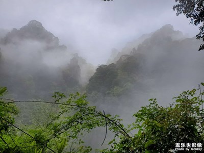 青城山下 道士下山