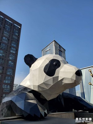 成都的街头走一走