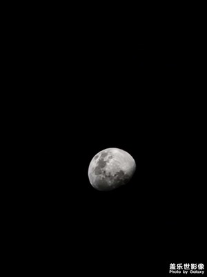 22拍的月亮🌙。