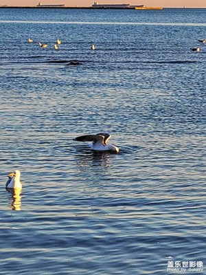 去海边