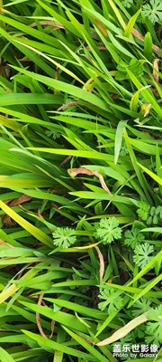 春去春来，又一年春天