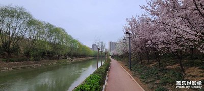 【春光好】春风又绿河两岸