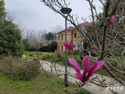 甜蜜蜜