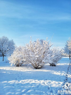 三月的雪