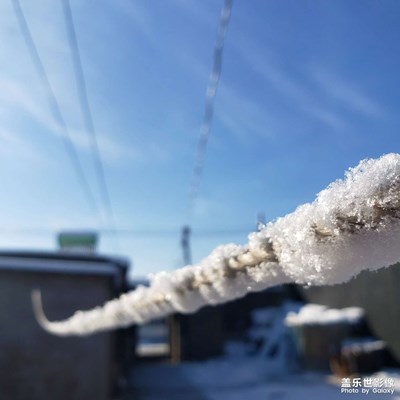 【春光好】＋认真的雪