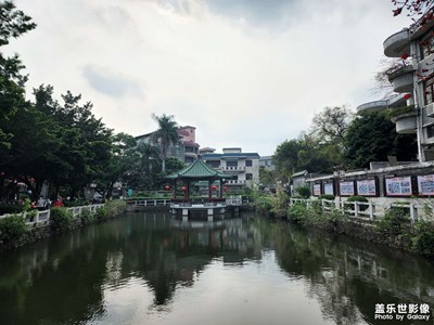 随手拍一下