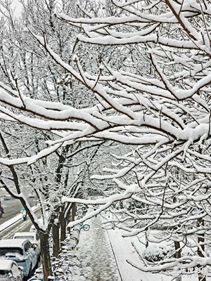 北京突降大雪