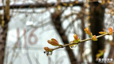 微距来几张