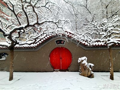 沁园春雪