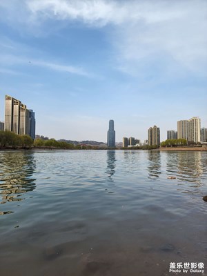 喜欢这安静的场面